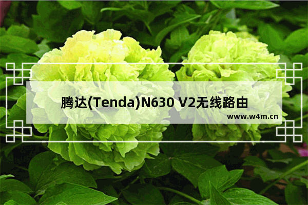 腾达(Tenda)N630 V2无线路由器上网设置