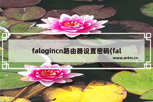 falogincn路由器设置密码(falogin无线路由器设置)