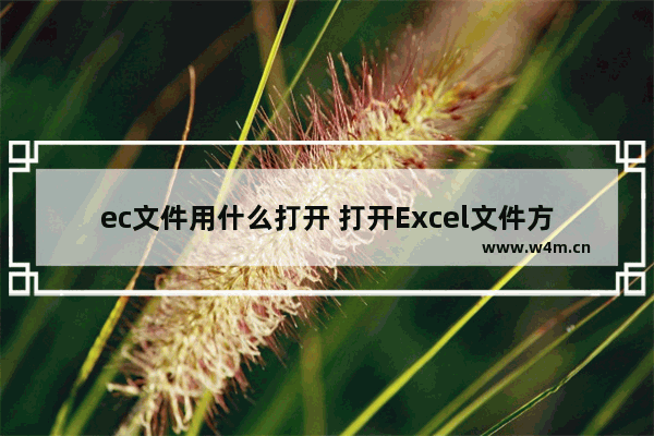 ec文件用什么打开 打开Excel文件方式