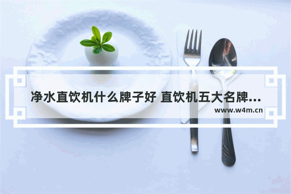 净水直饮机什么牌子好 直饮机五大名牌排行榜