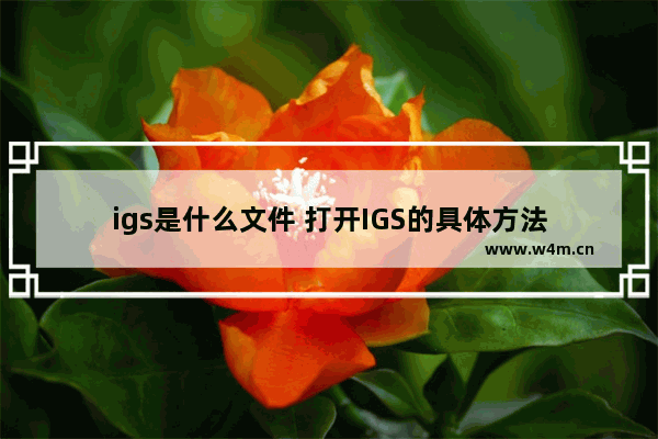 igs是什么文件 打开IGS的具体方法