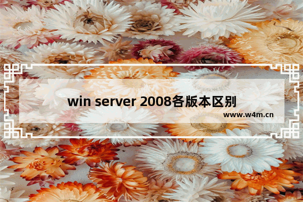 win server 2008各版本区别 看完好多人不淡定了