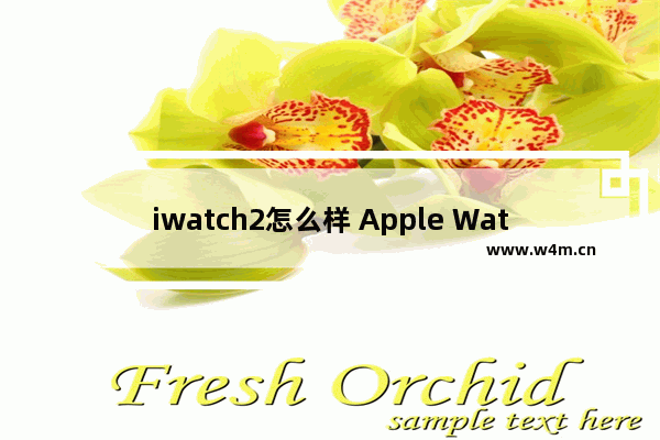 iwatch2怎么样 Apple Watch二代深度体验