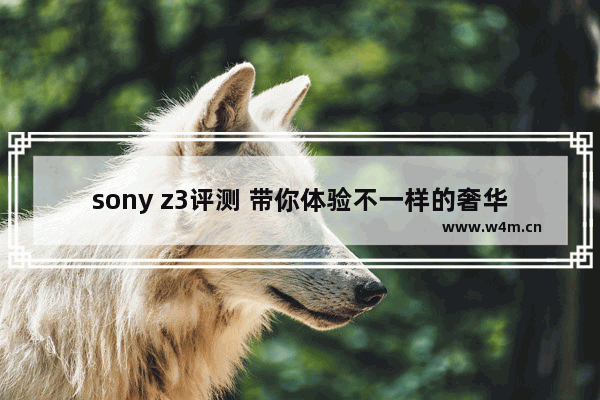 sony z3评测 带你体验不一样的奢华