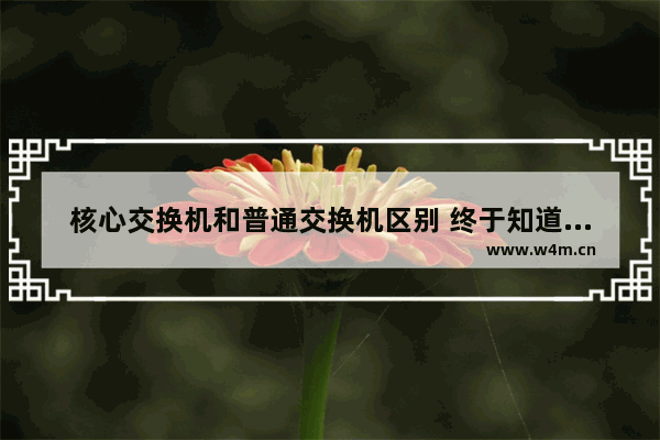 核心交换机和普通交换机区别 终于知道两种交换机的区别了