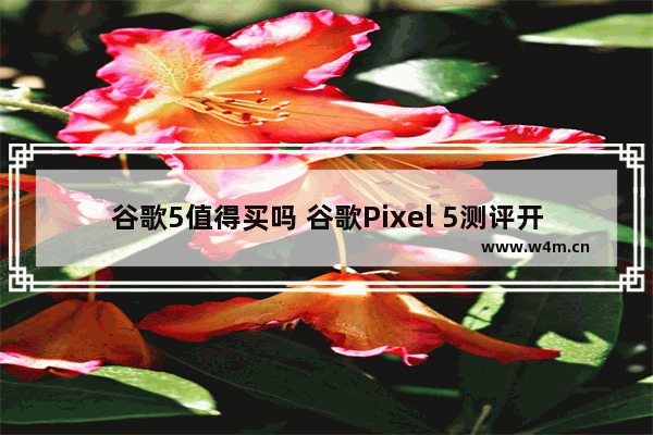 谷歌5值得买吗 谷歌Pixel 5测评开箱