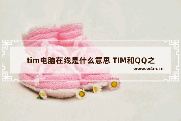 tim电脑在线是什么意思 TIM和QQ之间的区别详解