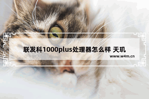 联发科1000plus处理器怎么样 天玑1000 plus性能