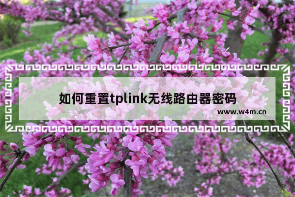 如何重置tplink无线路由器密码