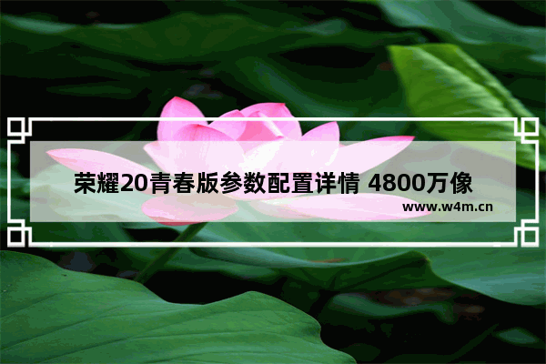 荣耀20青春版参数配置详情 4800万像素+800万像素+200万像素