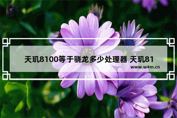 天玑8100等于骁龙多少处理器 天玑8100性能分析