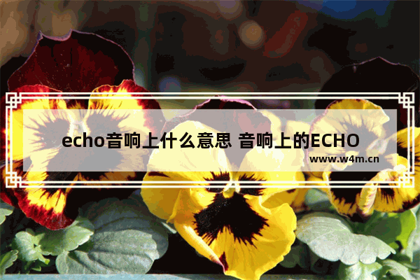 echo音响上什么意思 音响上的ECHO 、BASS、TREBLE设置方法