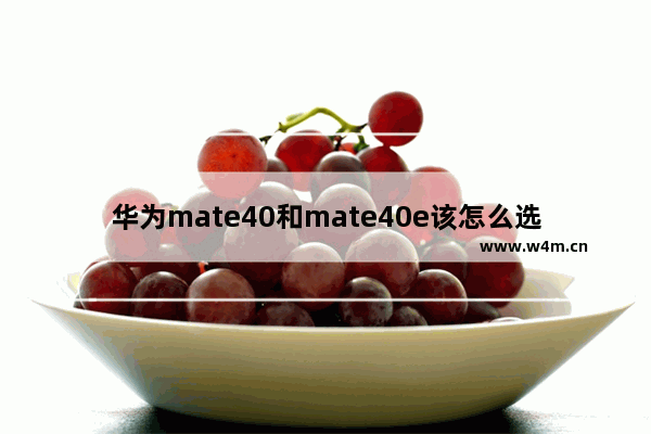 华为mate40和mate40e该怎么选 华为mate40和mate40e的区别