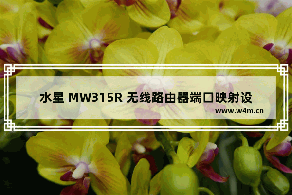 水星 MW315R 无线路由器端口映射设置指南