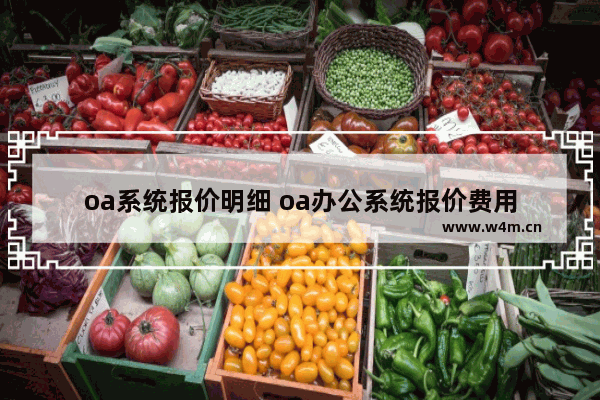 oa系统报价明细 oa办公系统报价费用