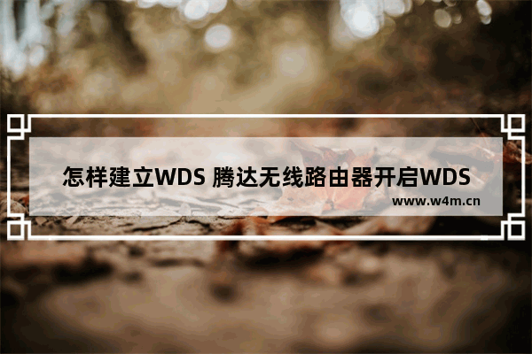 怎样建立WDS 腾达无线路由器开启WDS教程【详细介绍】