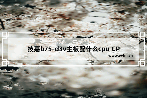 技嘉b75-d3v主板配什么cpu CPU搭配主板