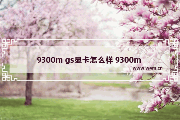 9300m gs显卡怎么样 9300m gs显卡测评