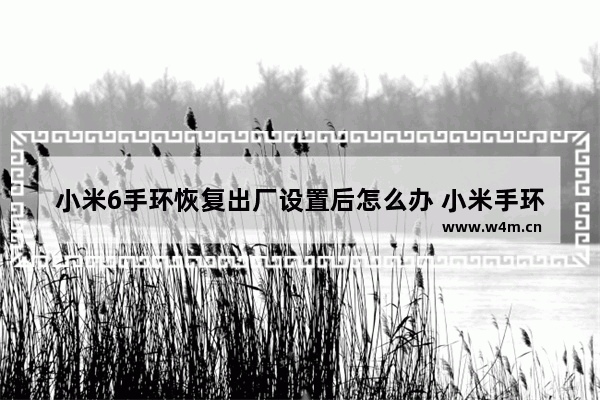 小米6手环恢复出厂设置后怎么办 小米手环6恢复出厂设置操作方法