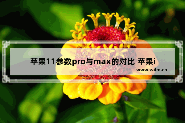 苹果11参数pro与max的对比 苹果iPhone 11/Pro/Max区别详解