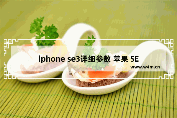 iphone se3详细参数 苹果 SE3上手体验