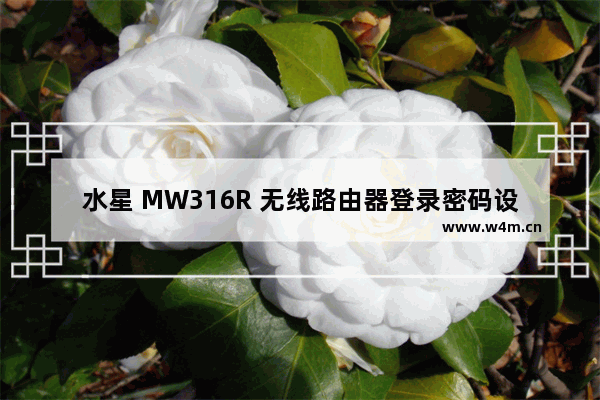 水星 MW316R 无线路由器登录密码设置方法