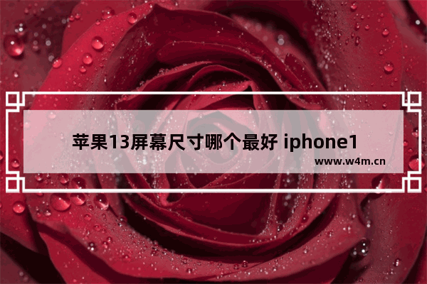 苹果13屏幕尺寸哪个最好 iphone13系列选购指南