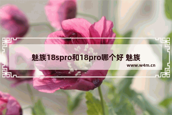 魅族18spro和18pro哪个好 魅族18 Pro和18S Pro对比