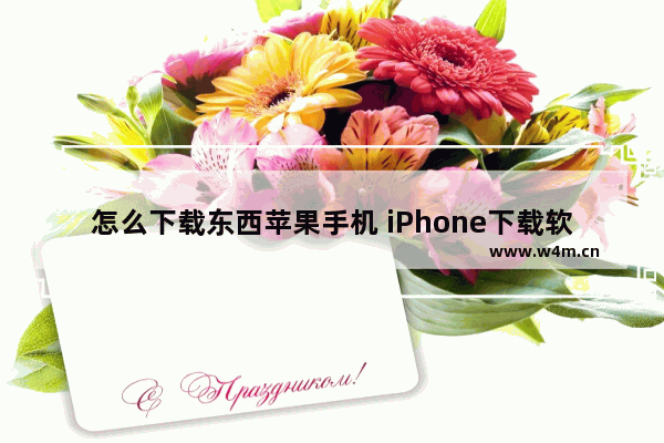 怎么下载东西苹果手机 iPhone下载软件的方法