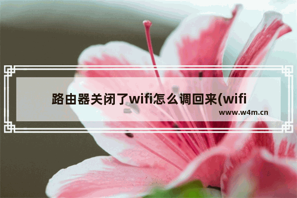 路由器关闭了wifi怎么调回来(wifi连接不上怎么设置无线路由器)