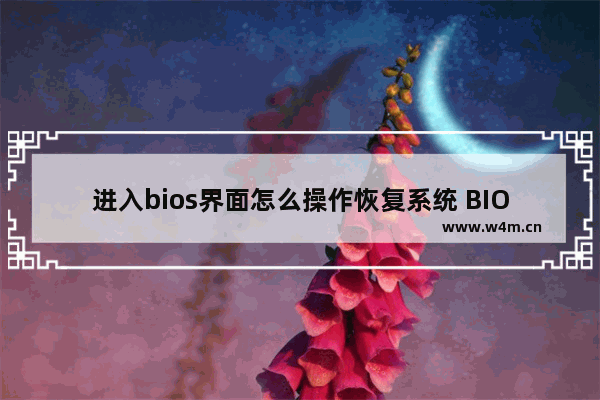 进入bios界面怎么操作恢复系统 BIOS系统重装详细介绍