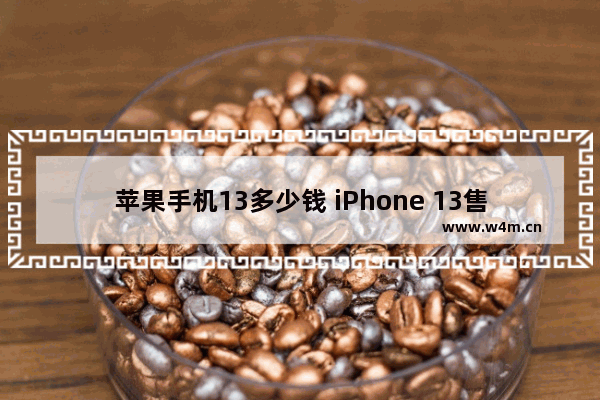 苹果手机13多少钱 iPhone 13售价终于亲民了