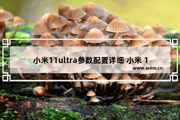 小米11ultra参数配置详细 小米 11 Ultra 深度评测