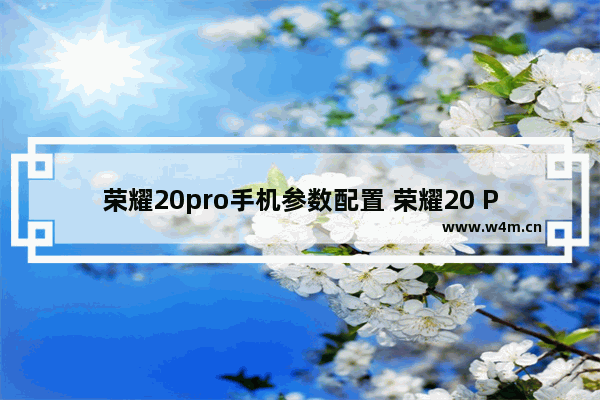 荣耀20pro手机参数配置 荣耀20 PRO评测