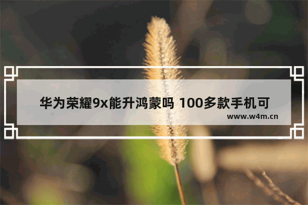 华为荣耀9x能升鸿蒙吗 100多款手机可以升级鸿蒙系统