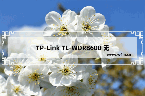 TP-Link TL-WDR8600 无线路由器上网设置