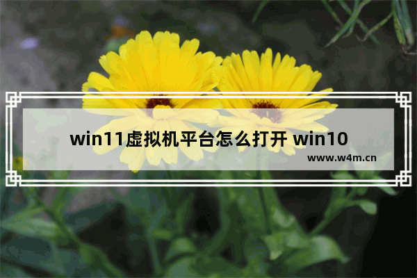 win11虚拟机平台怎么打开 win10专业版虚拟机怎么使用