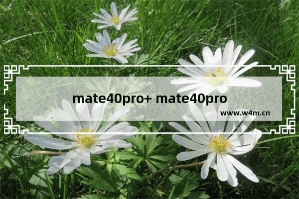 mate40pro+ mate40pro 区别 华为Mate40 Pro+ 和pro版对比