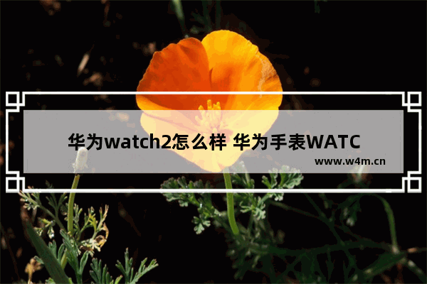 华为watch2怎么样 华为手表WATCH2测评