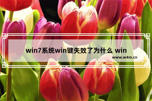 win7系统win键失效了为什么 win键默认被按着