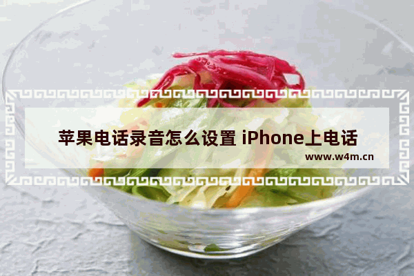 苹果电话录音怎么设置 iPhone上电话录音的方法