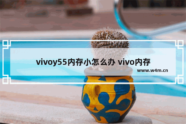 vivoy55内存小怎么办 vivo内存扩展功能使用技巧