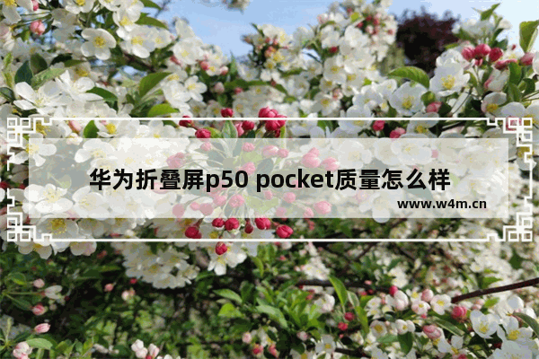 华为折叠屏p50 pocket质量怎么样 华为P50 Pocket深度体验