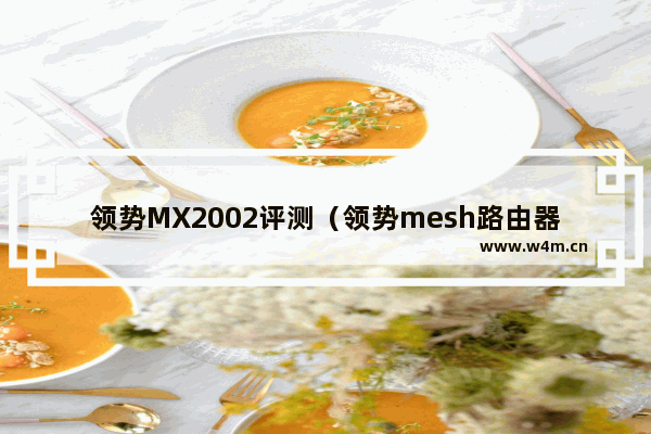 领势MX2002评测（领势mesh路由器推荐）