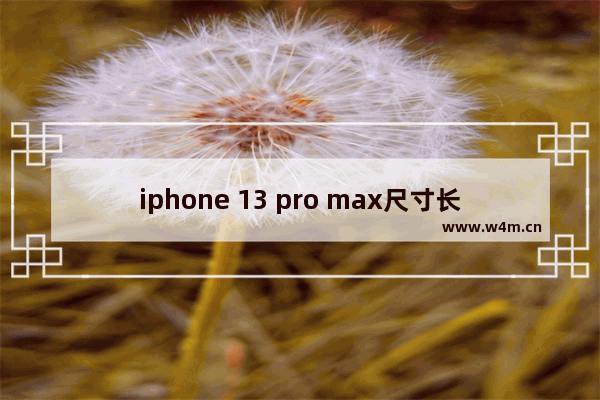 iphone 13 pro max尺寸长宽比例 苹果1313 Pro/Max全面分析