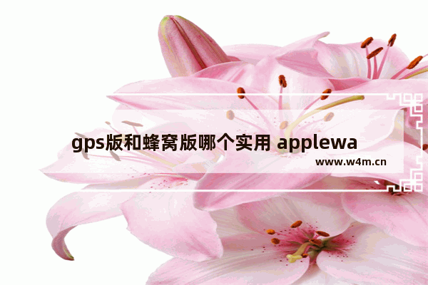 gps版和蜂窝版哪个实用 applewatch蜂窝版与GPS版对比