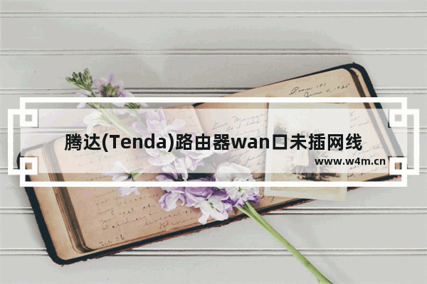 腾达(Tenda)路由器wan口未插网线的解决方法