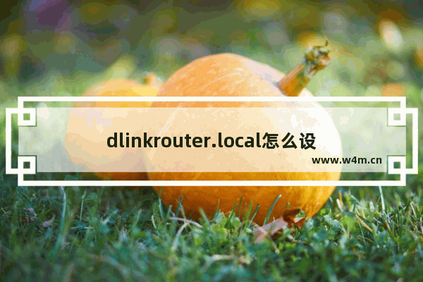 dlinkrouter.local怎么设置？