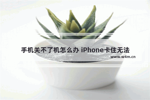 手机关不了机怎么办 iPhone卡住无法关机的解决方案