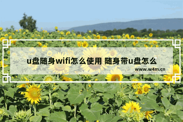 u盘随身wifi怎么使用 随身带u盘怎么方便